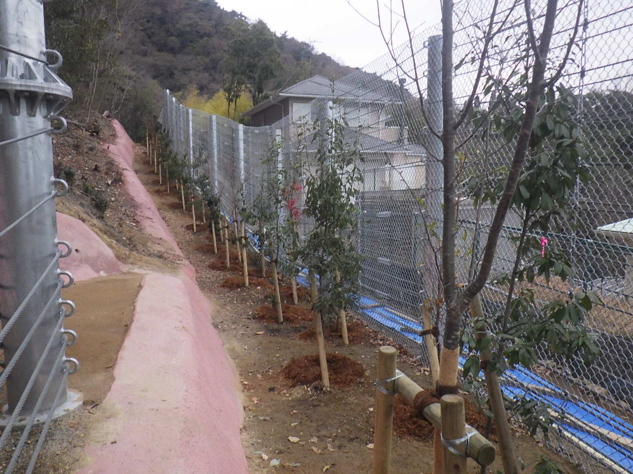 急傾斜地崩壊対策工事 施工写真1